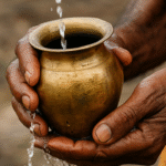 The Forgotten Importance of Water in Seva